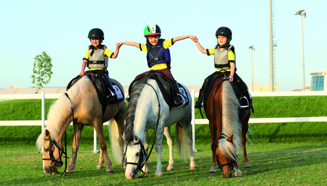 Riding lessons are open to all abilities whether you’re experienced or a beginner.
