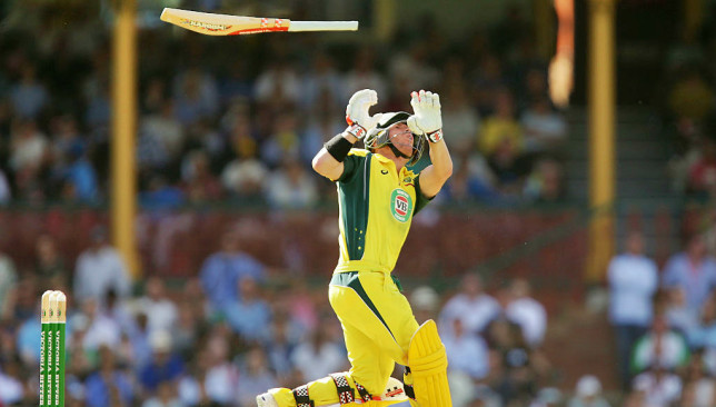 David Warner has come out in full support of the modern day bat