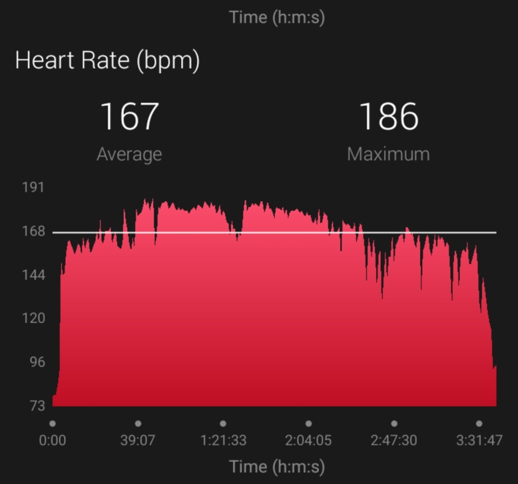 plate Recollection client Dubai Marathon: What happens to your heart rate when running the full  42.195km marathon distance? - Sport360 News