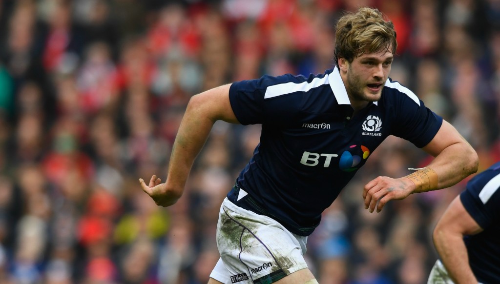 Richie Gray should be recalled to the Scotland pack for Ireland