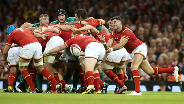 CARDIFF, WALES - AUGUST 08:  during the International match between Wales and Ireland at the Millennium Stadium on August 8, 2015 in Cardiff, Wales.  (Photo by David Rogers/Getty Images)